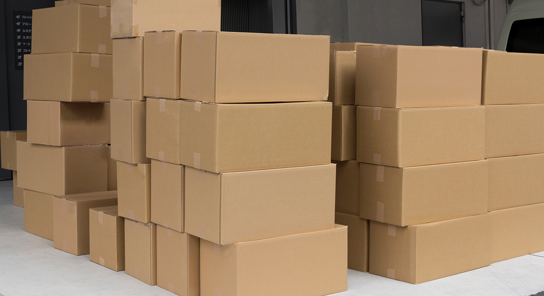 札のイメージ画像